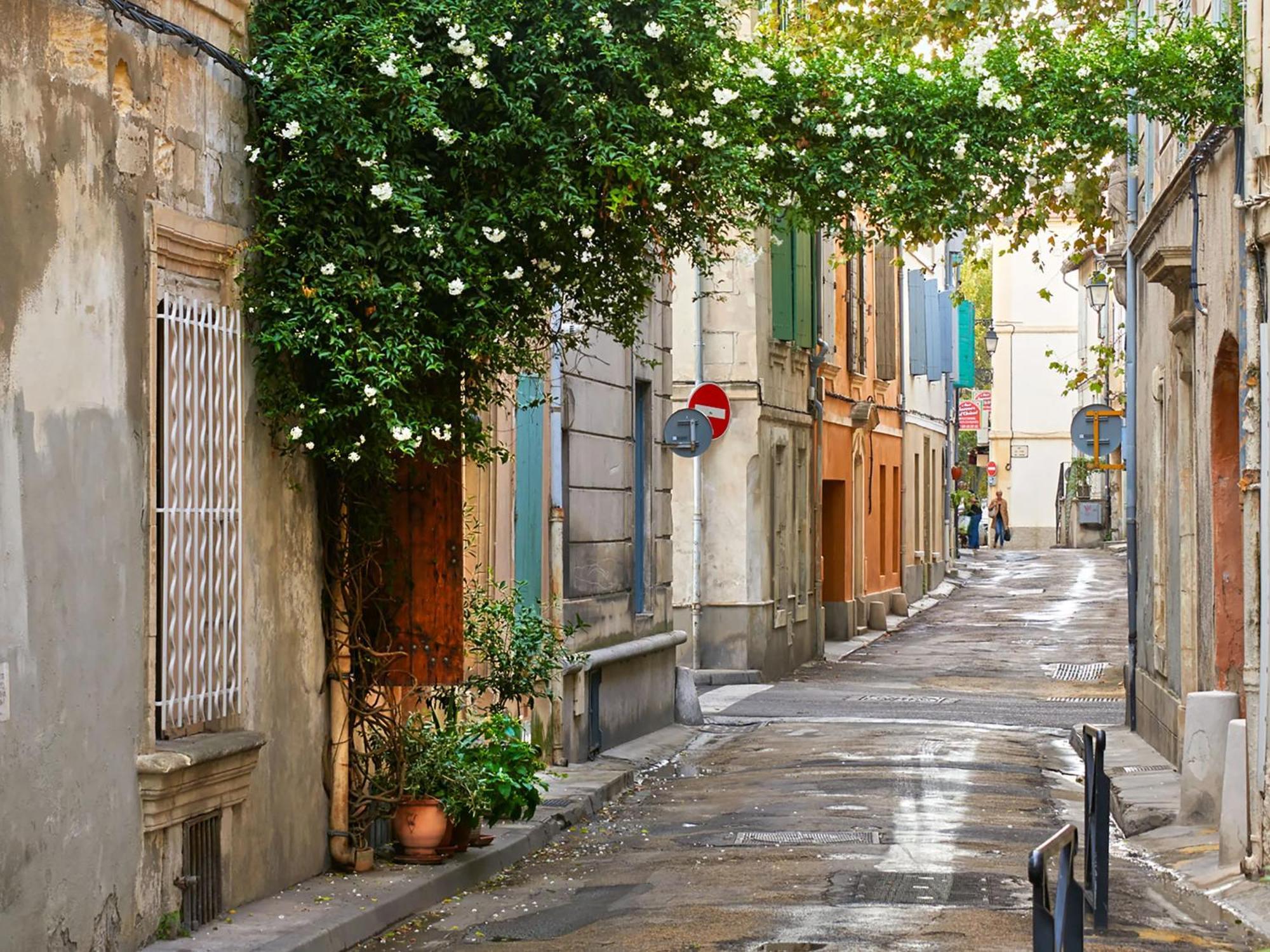 Hebergements Modernes & Cosy A Arles T3 Et T2 Elegants Luaran gambar